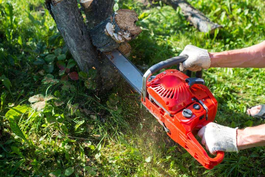 Tree Removal Chatswood