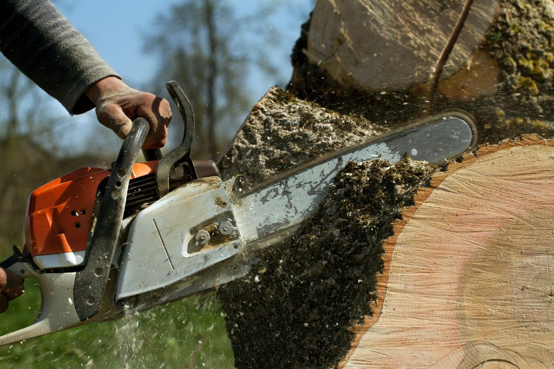Tree Removal Mosman