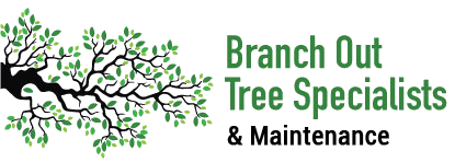 Branch Out Tree Specialists 